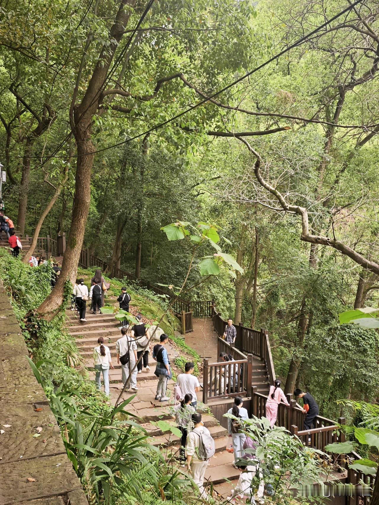 周末爬山，重庆南山。
南岸一天门轨道上新街站起，经清水溪步道广场，走涂山步道上山