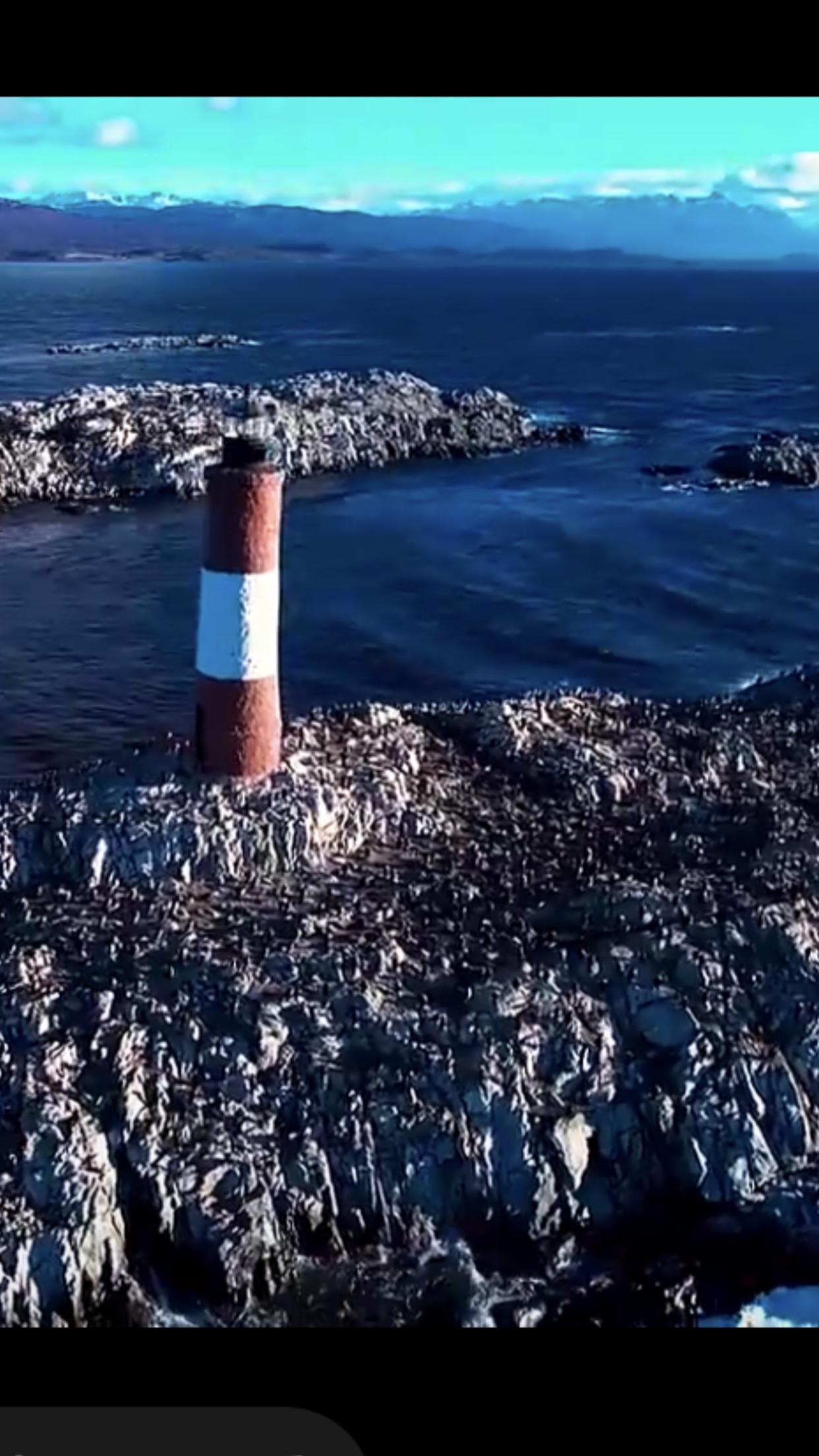 1. 语言能力：长期积累与实战应用

• 系统学习与坚持：女孩从一年级下学期开始