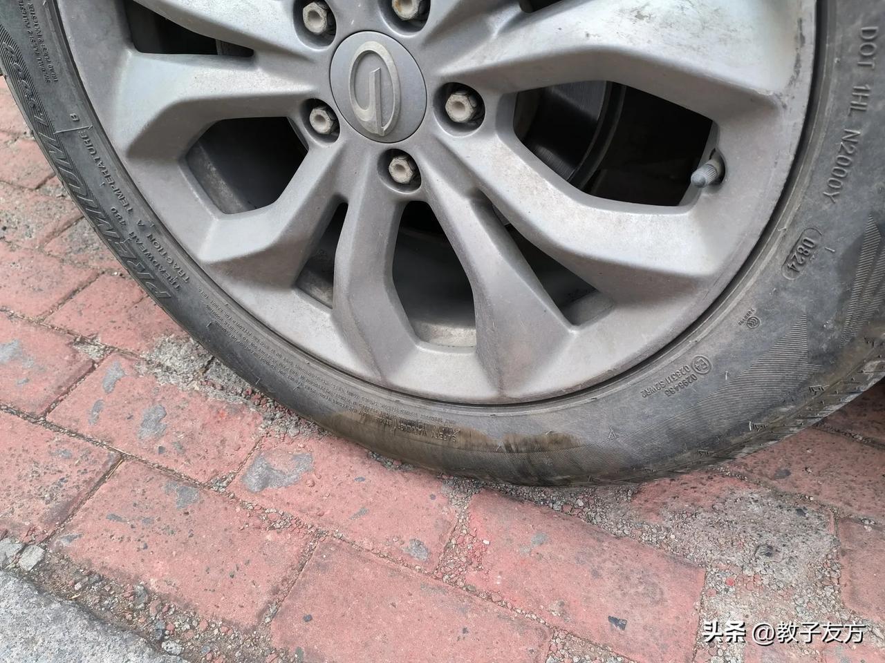 小区狗狗越来越少了，为什么？
        出去旅游回来发现小区院里狗狗少了好