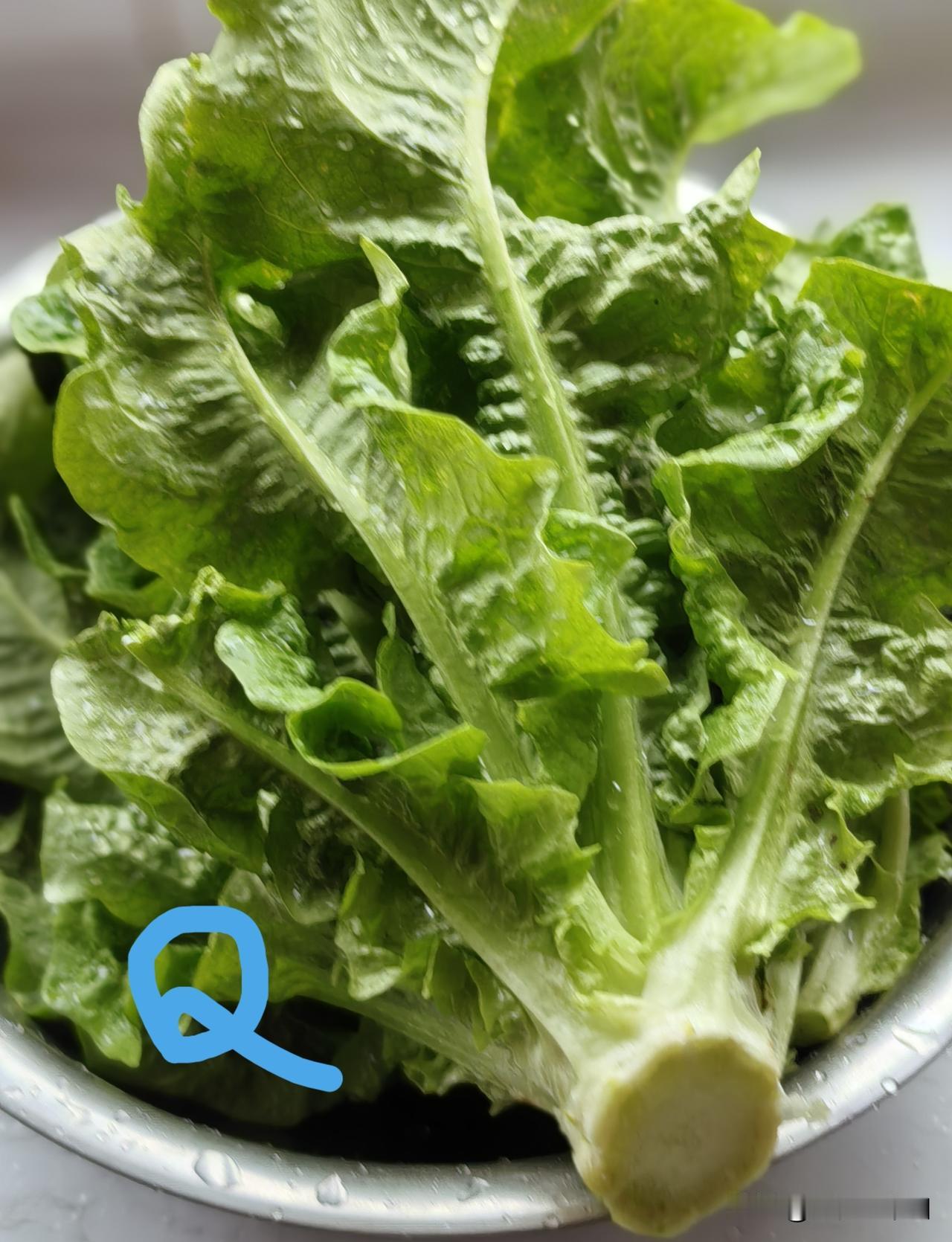 【老乔头种果菜·会种会采会吃】  莴苣采莲座，好吃换钱多
 
前天，一菜友给我打