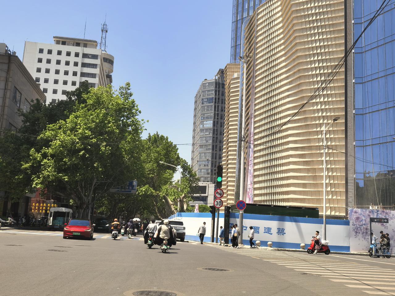 徐州的道路绿化树要保留