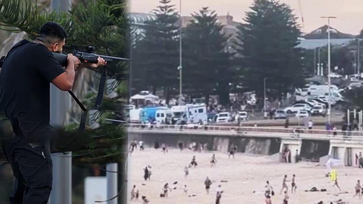 海滩枪击案后，澳大利亚将建立枪支回购计划，堪称29年来最大规模
根据媒体报道，澳