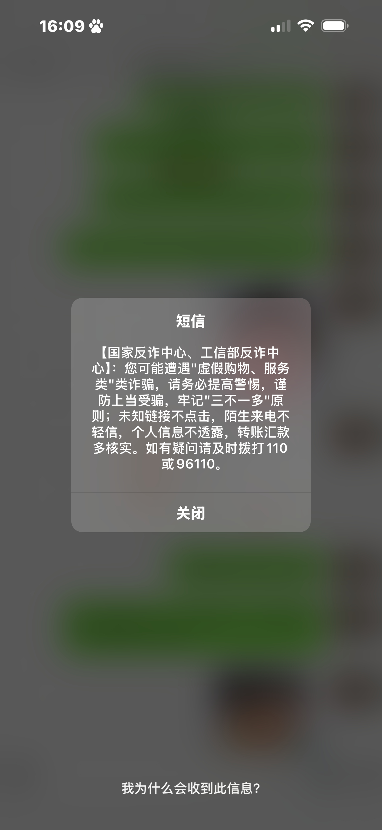 到底谁要zp我……第三次了…… 