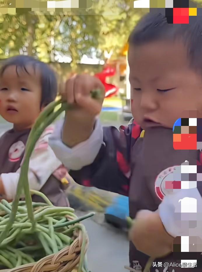 别的娃入园哭着找妈，这家幼儿园的娃发烧都嚷着要去！娃在幼儿园忙到没空想家，太绝了