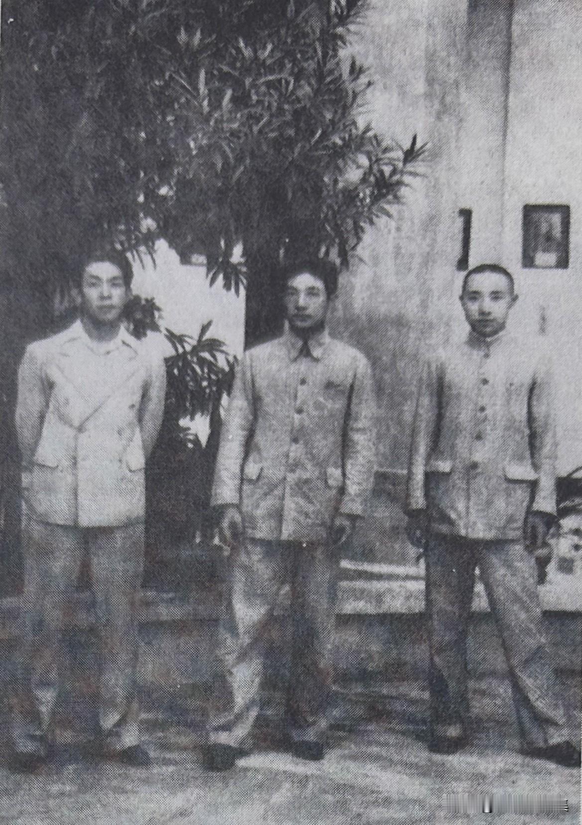 1936年7月徐悲鸿（中）与刘汝醴（左）、徐晓明（右）等在广西南宁的合影。刘汝醴