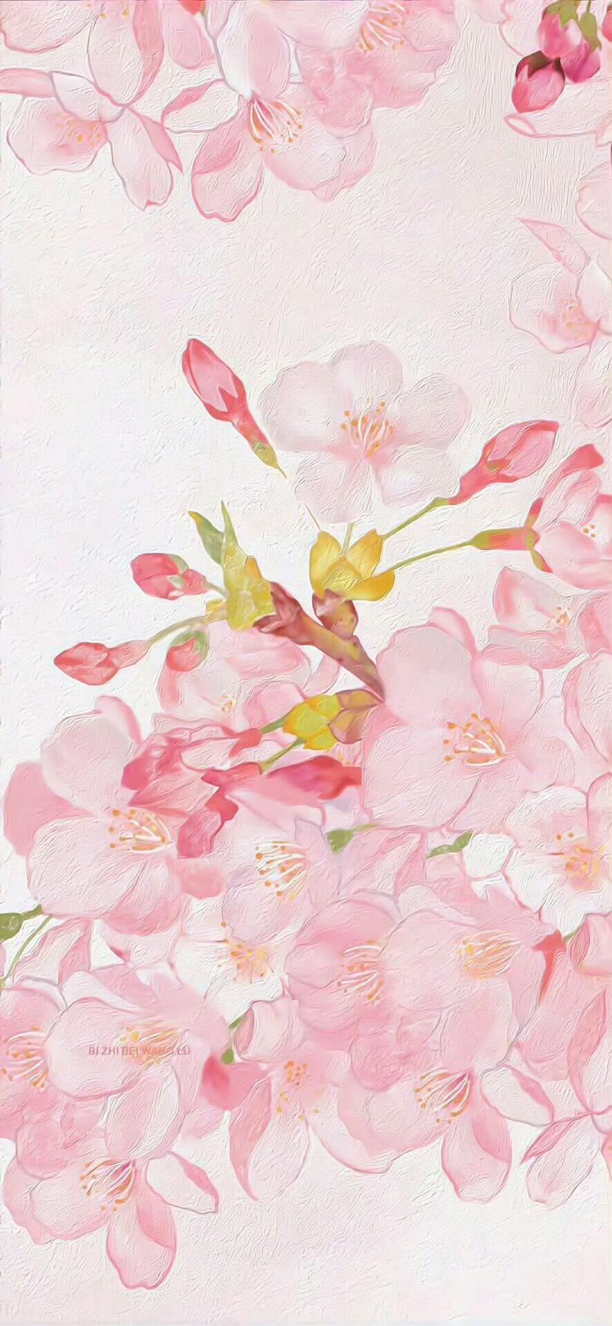 适合春天用的壁纸～🍀 