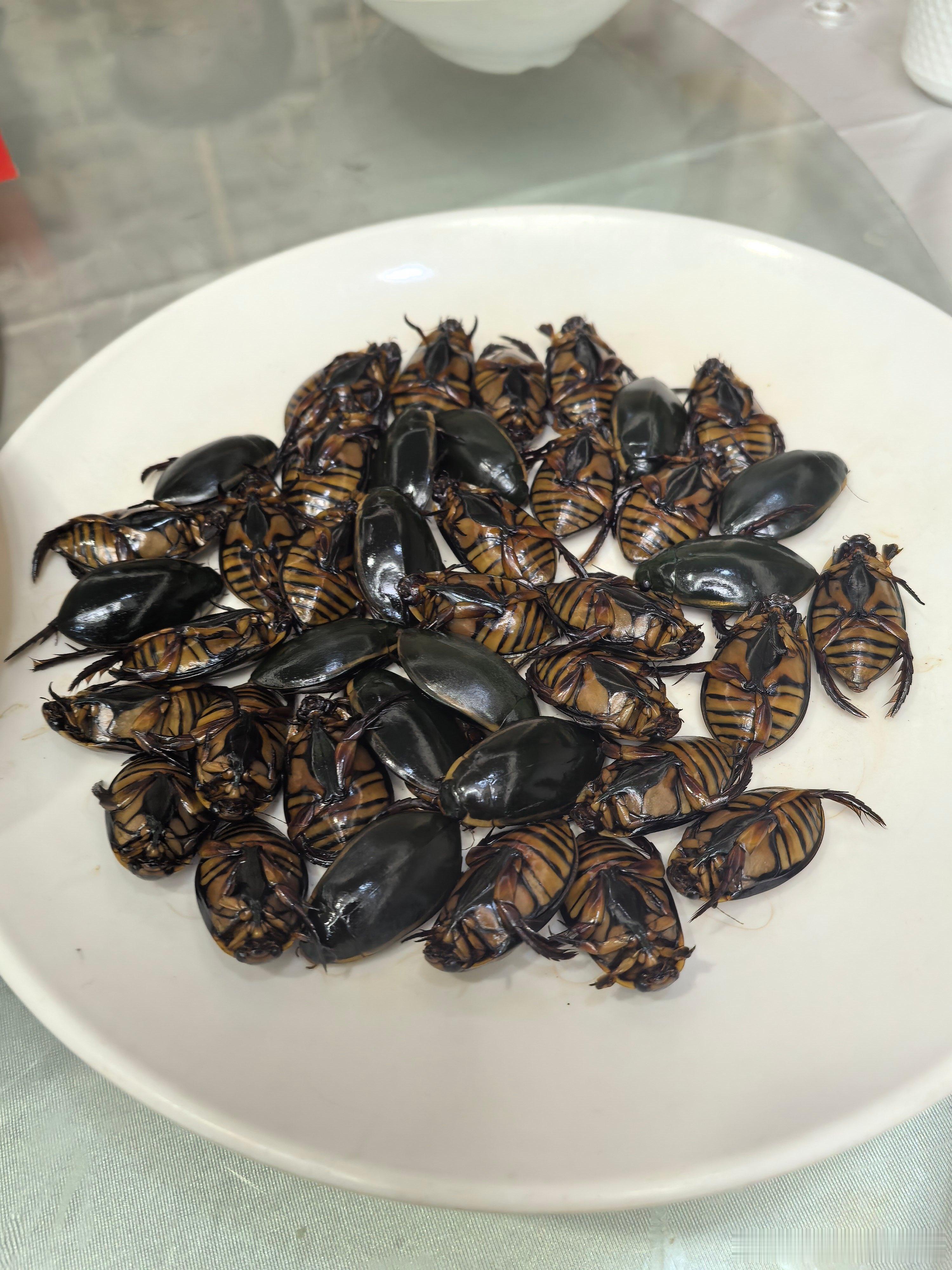 朋友体验钟村三宝：田鼠，水蟑螂，桂花蚕。我是接受不了，心理障碍大。 