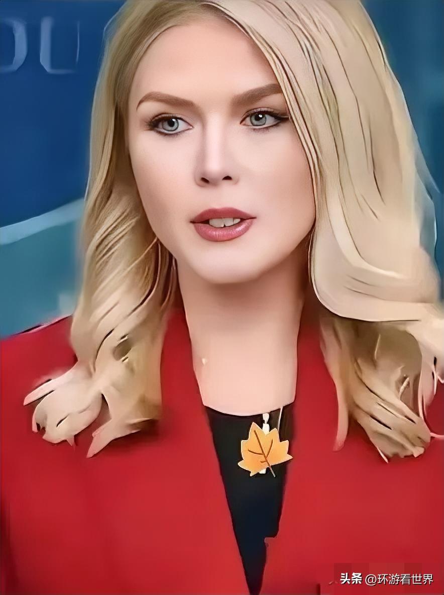 美国白宫公开表态:
2026年3月18日，美国白宫新闻秘书莱维特说，美国正在向欧