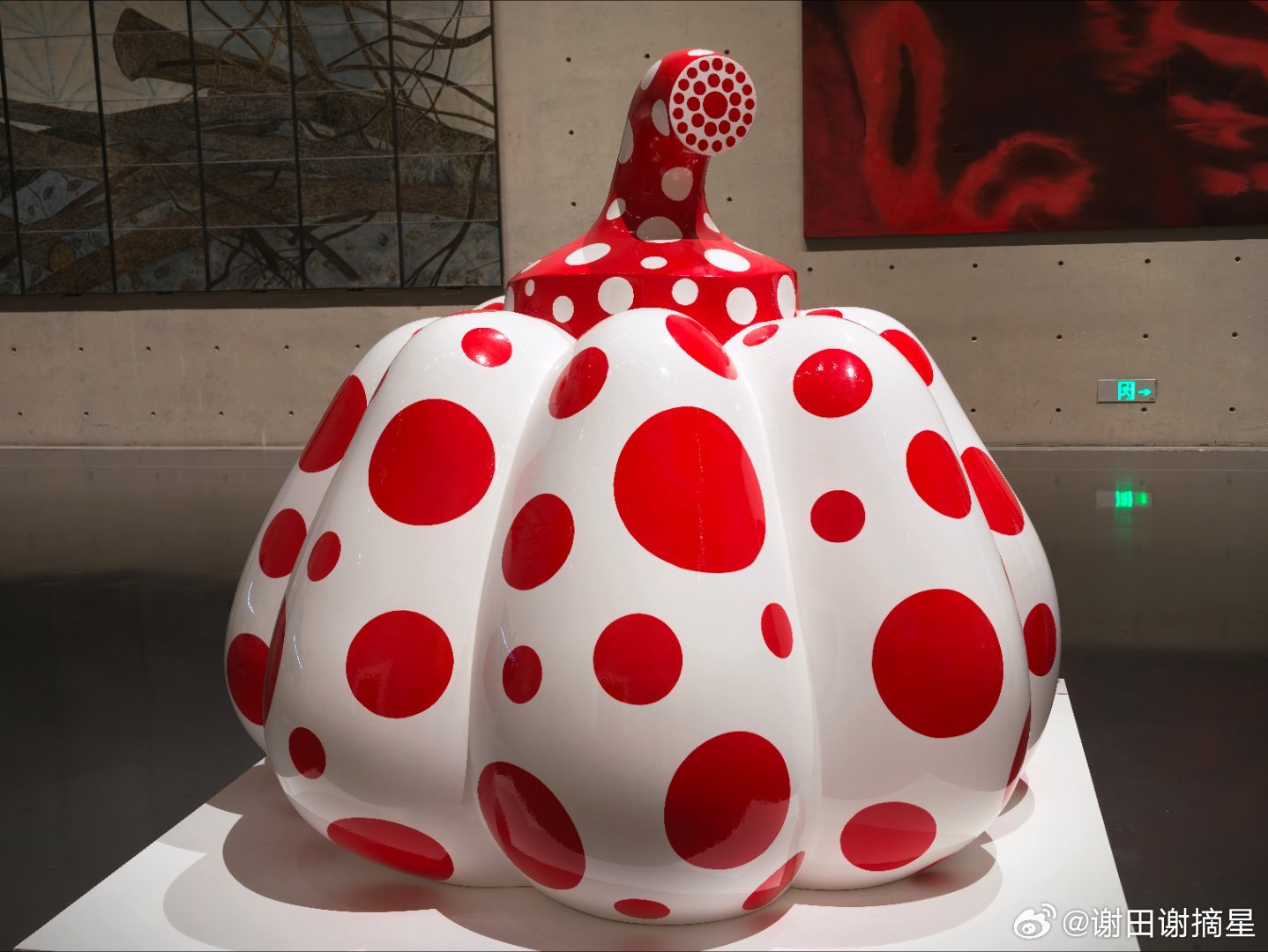 上海龙美术馆展厅里展览现代艺术作品，观众寥寥无几，门口则是很多人拍着大队给美女拍