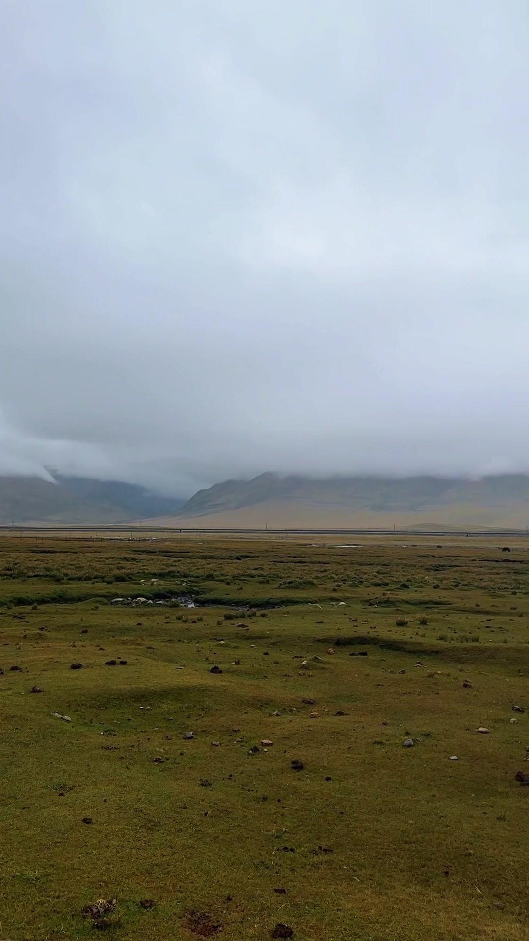 桑丹康桑雪山，与杨紫生命树打卡祖国大好河山风景


🌄桑丹康桑雪山的云雾中藏着