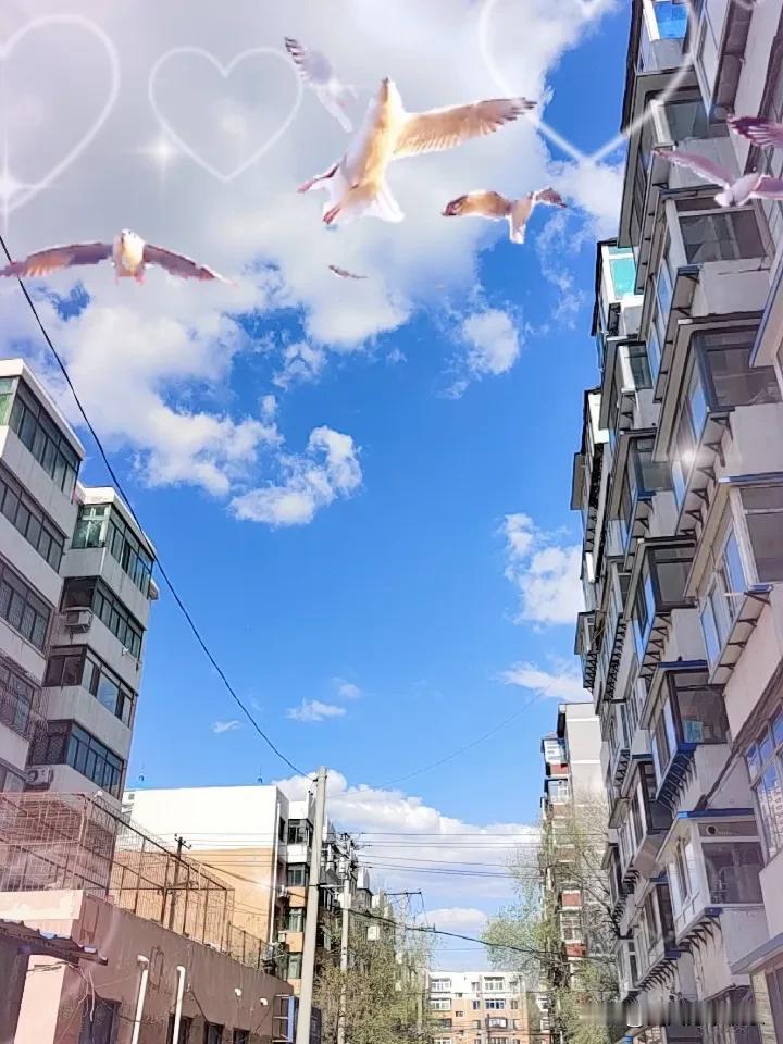 春日生活打卡季