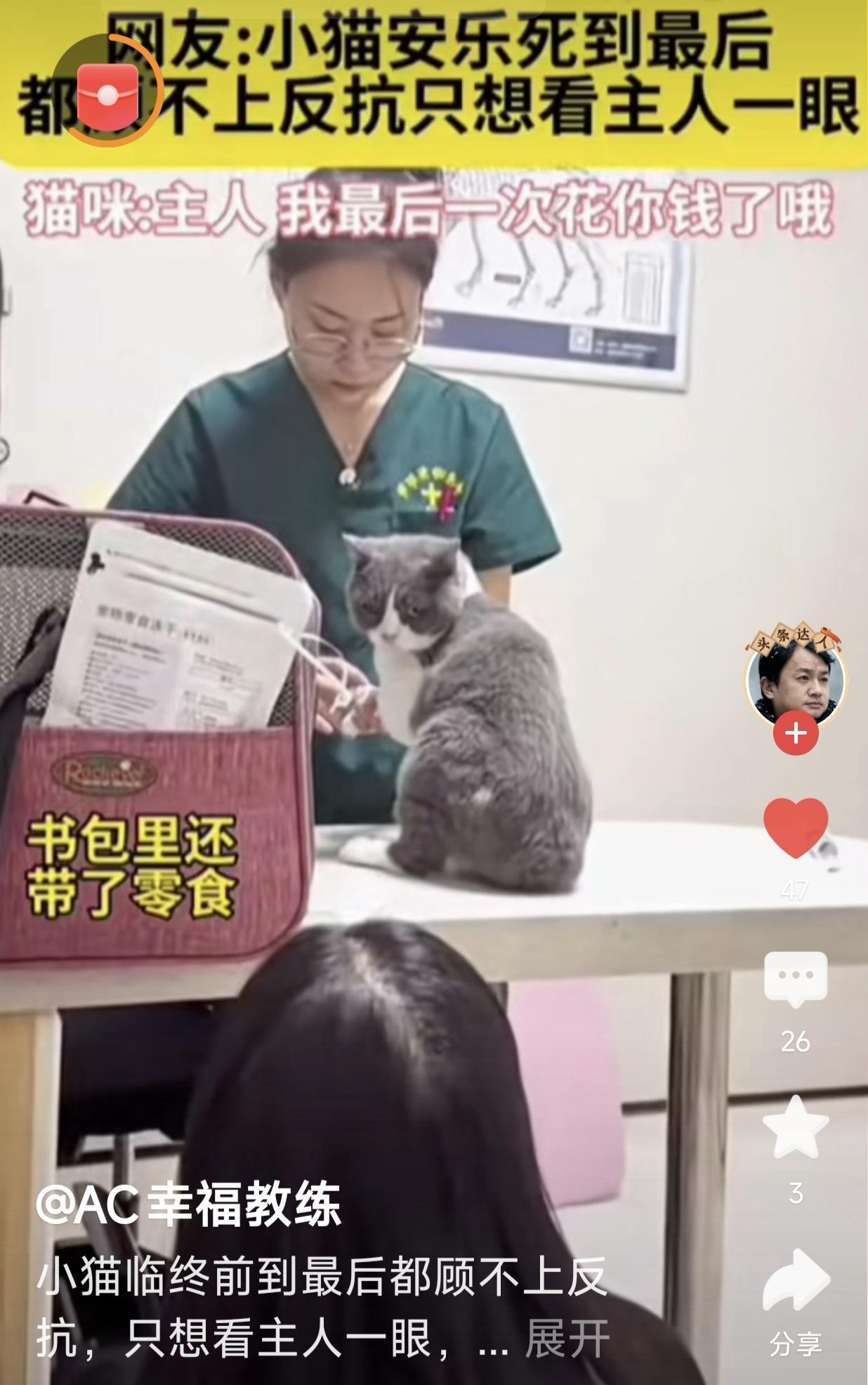 今天看了一个毛孩子安乐死的视频，眼泪一下子就掉下来了，这个家里有毛孩子的估计都受