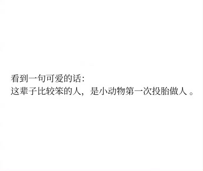 ​看到一句可爱的话：这辈子比较笨的人，是小动物第一次投胎做人 。 ​​​
