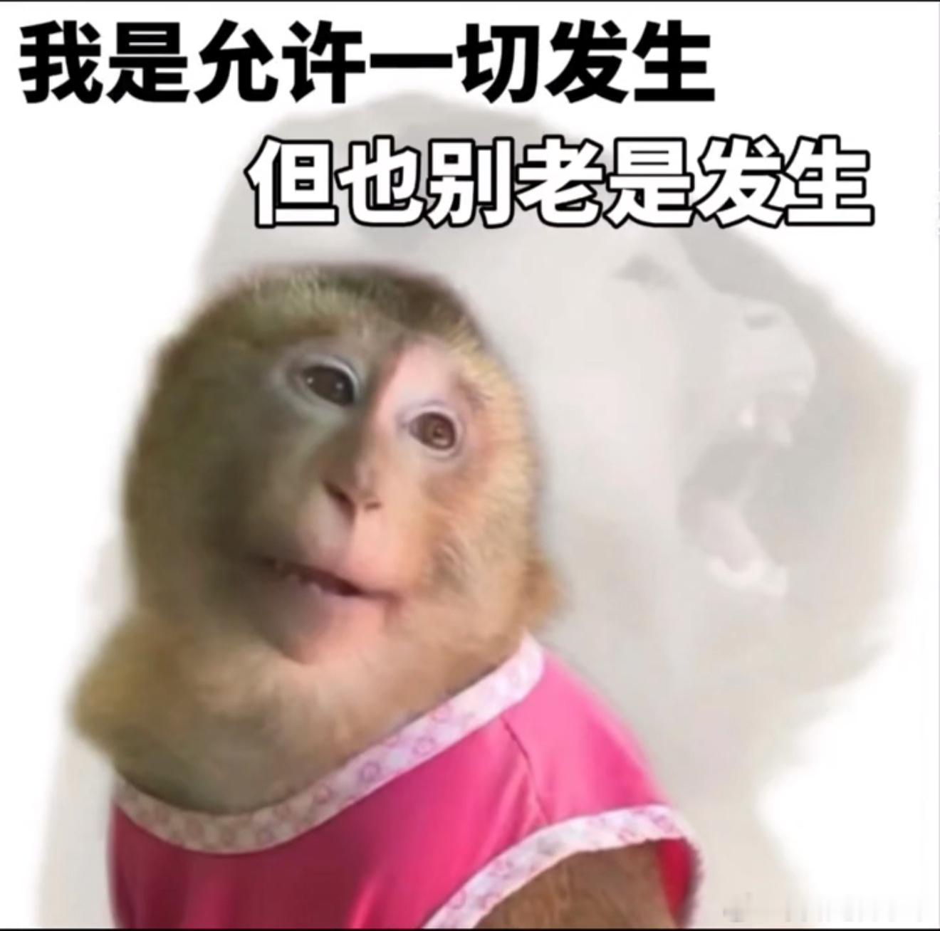 此刻坐在工位上，我今天应该请假的昨晚本来十一点多睡觉的，一点阿星说肚子疼，我俩赶