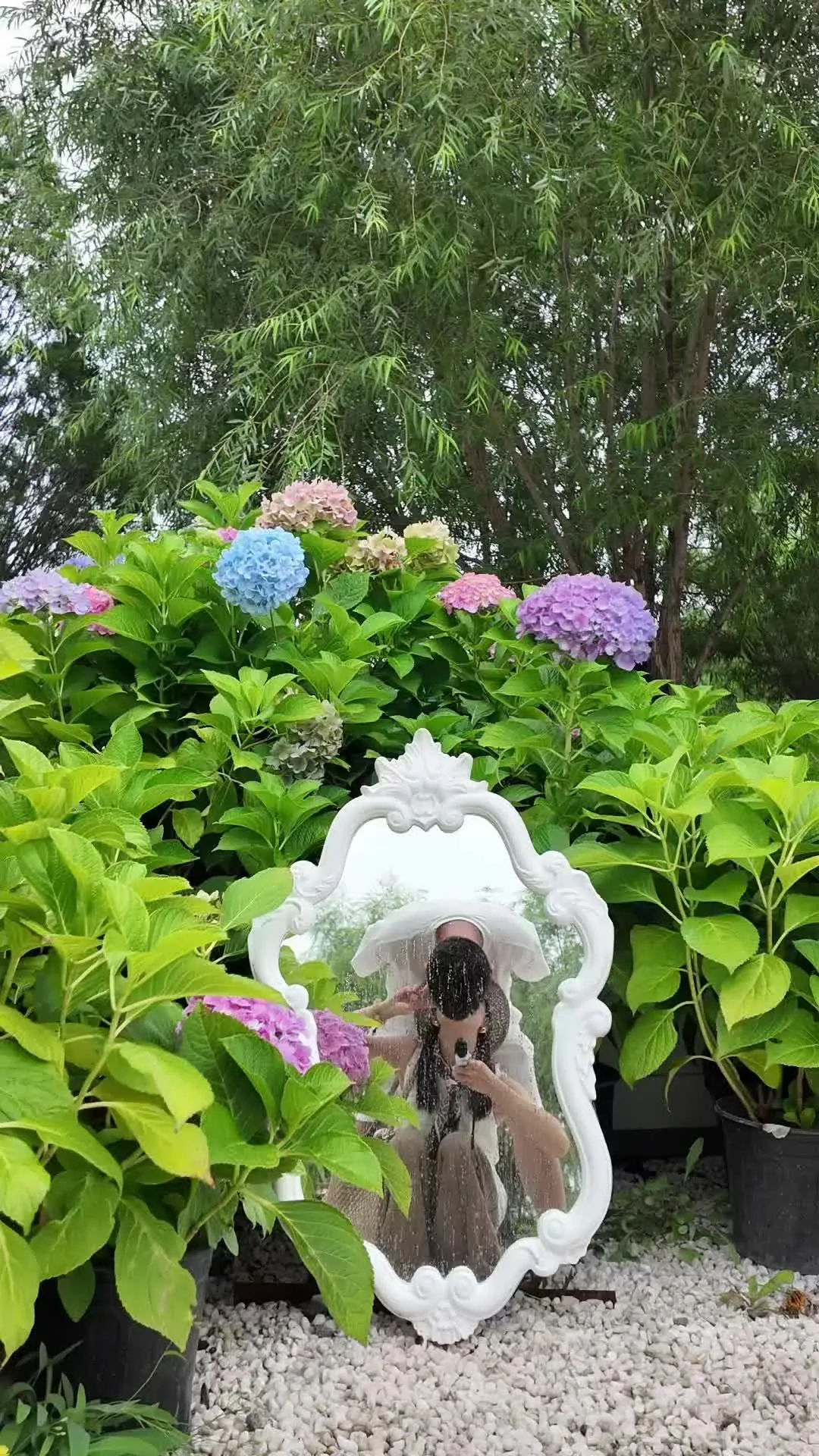 幸福像棵树 越开心 越茂盛🌳