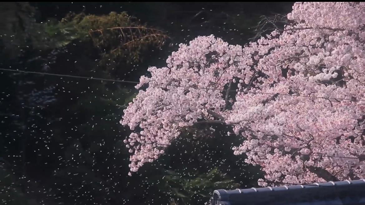 风是透明的河流 ​​​