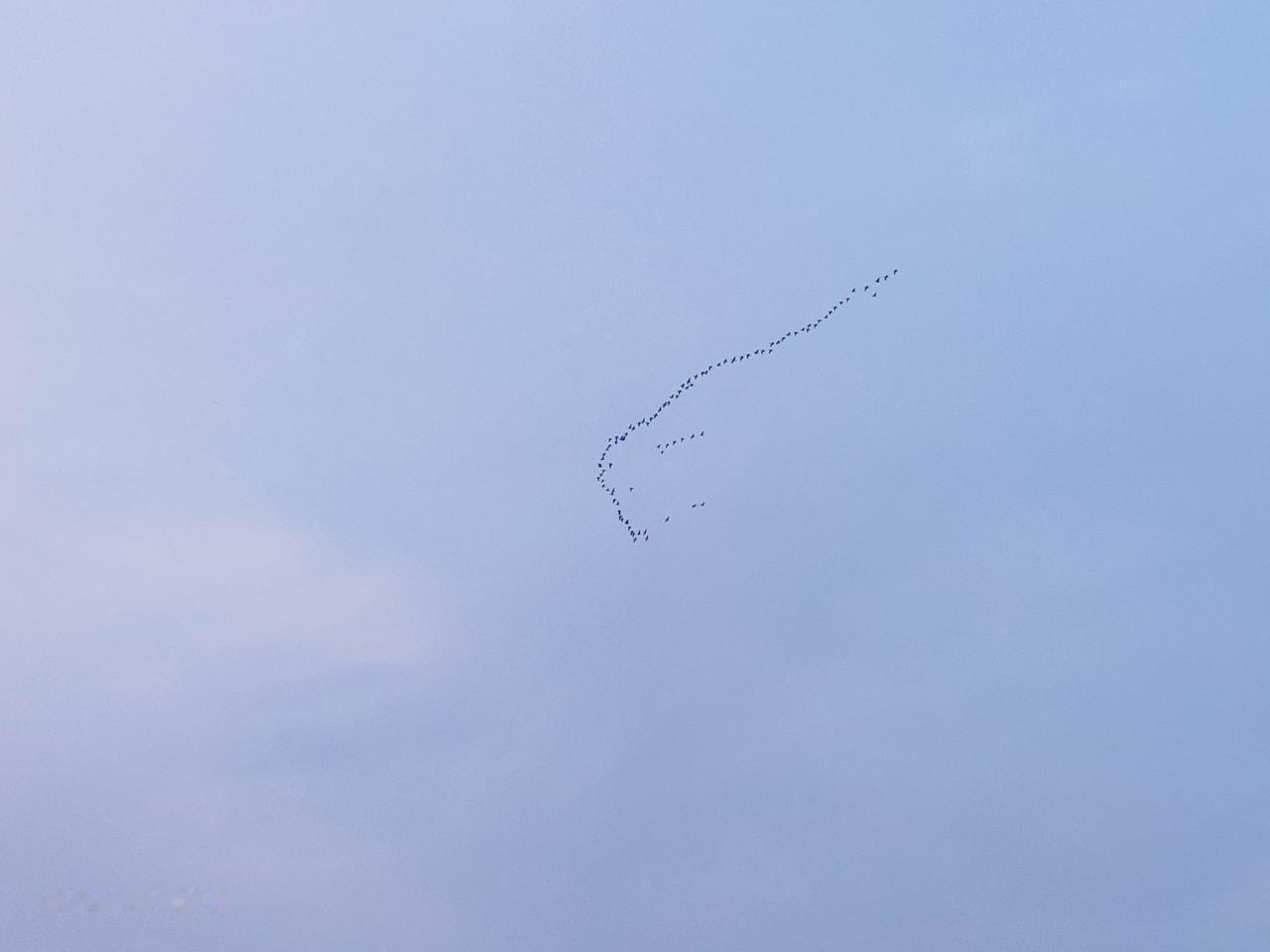南燕北归