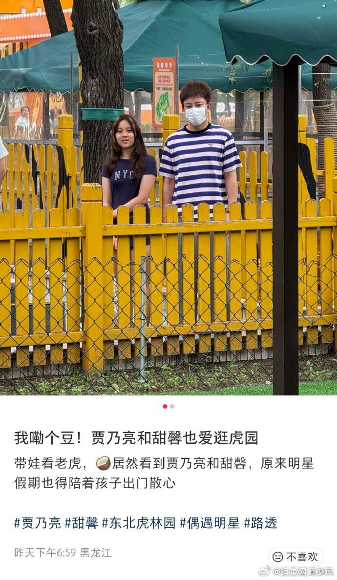 贾乃亮陪甜馨逛虎园游客逛虎园偶遇贾乃亮和甜馨，褪去荧幕光环，只是抽空陪伴女儿出游