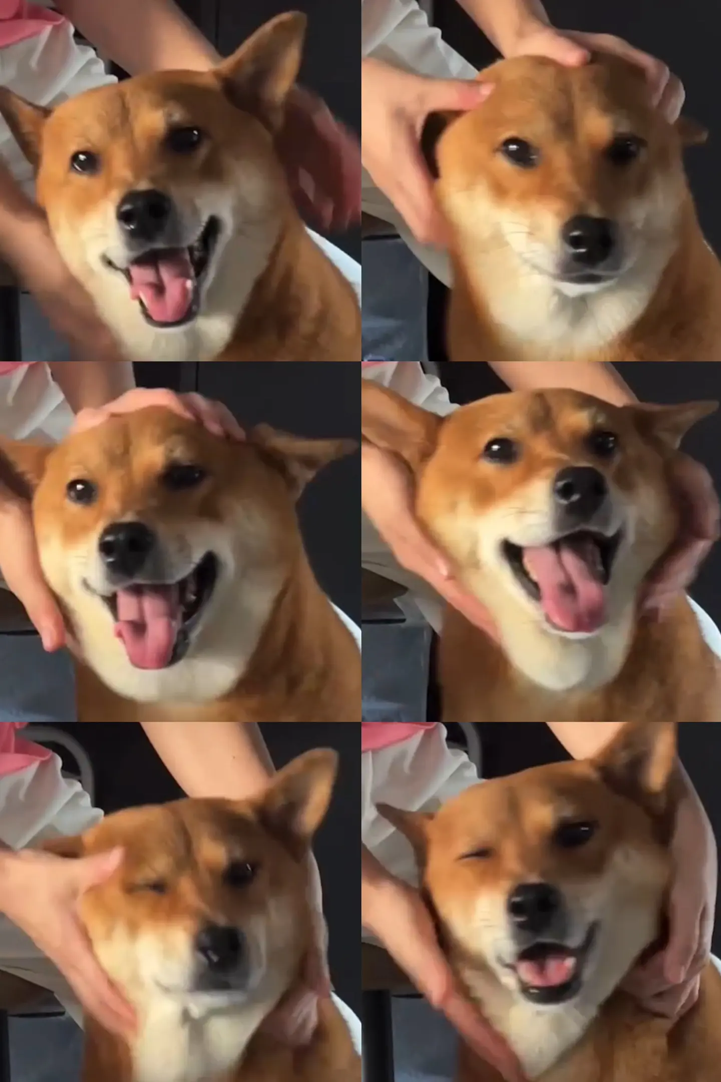 姨姨们我适合走可爱路线吗