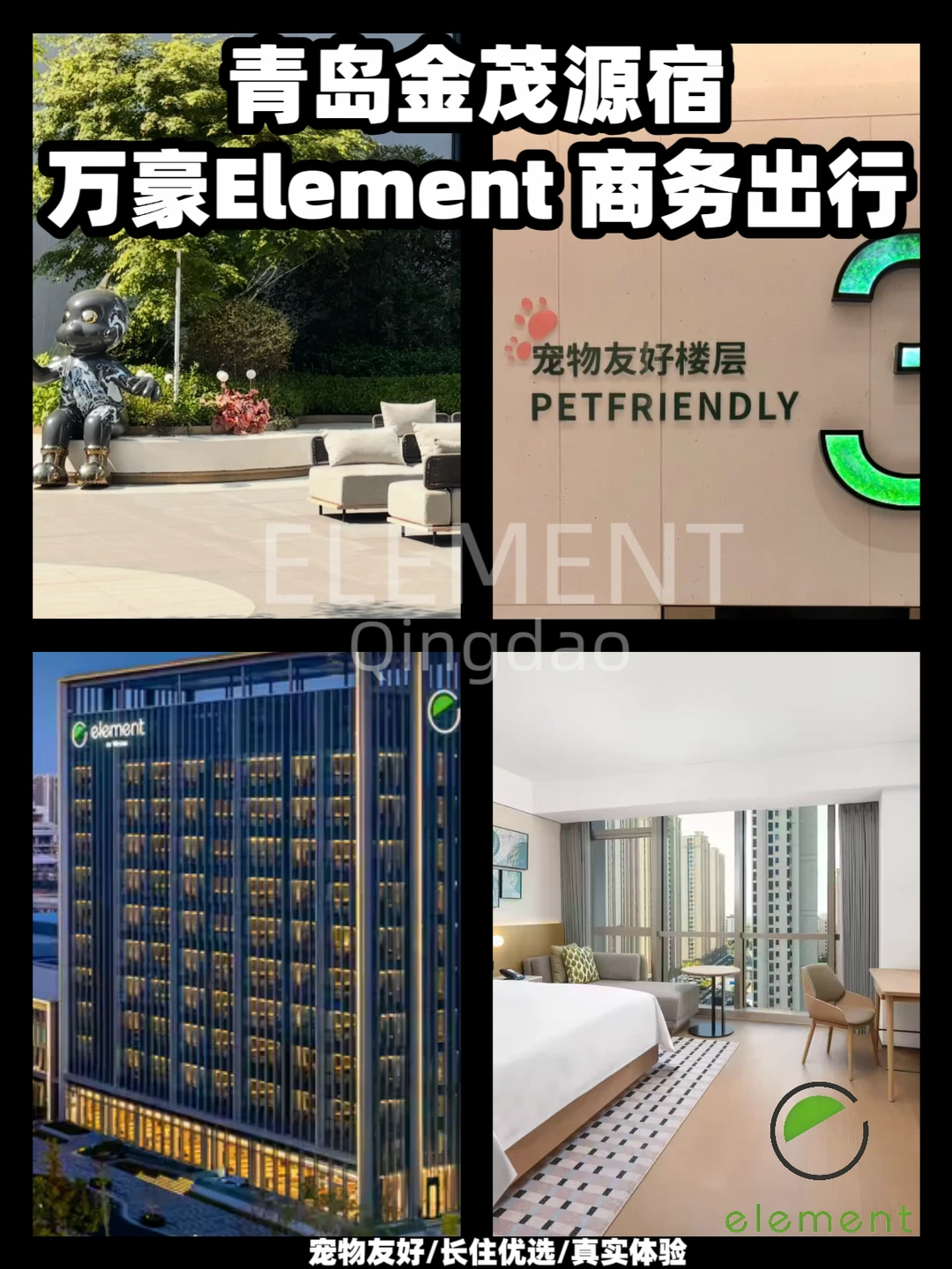 青岛金茂源宿｜300+住套房 🐶汪星人福利来啦