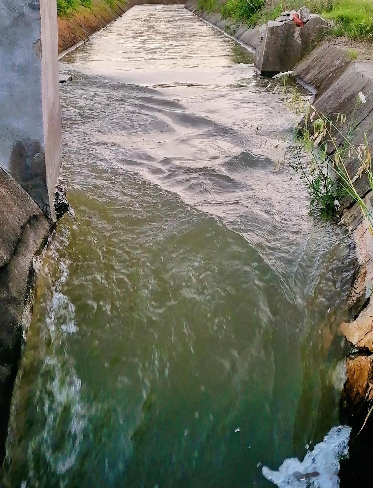 《渠水哗哗灌秧田（李林摄于汉中城固）》