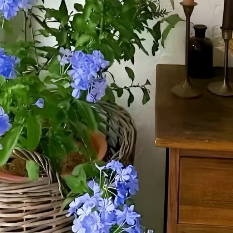 1200借一缕人间阳光，守一份纯粹善心。光线平等照耀世间万物，善意也应当不分远近