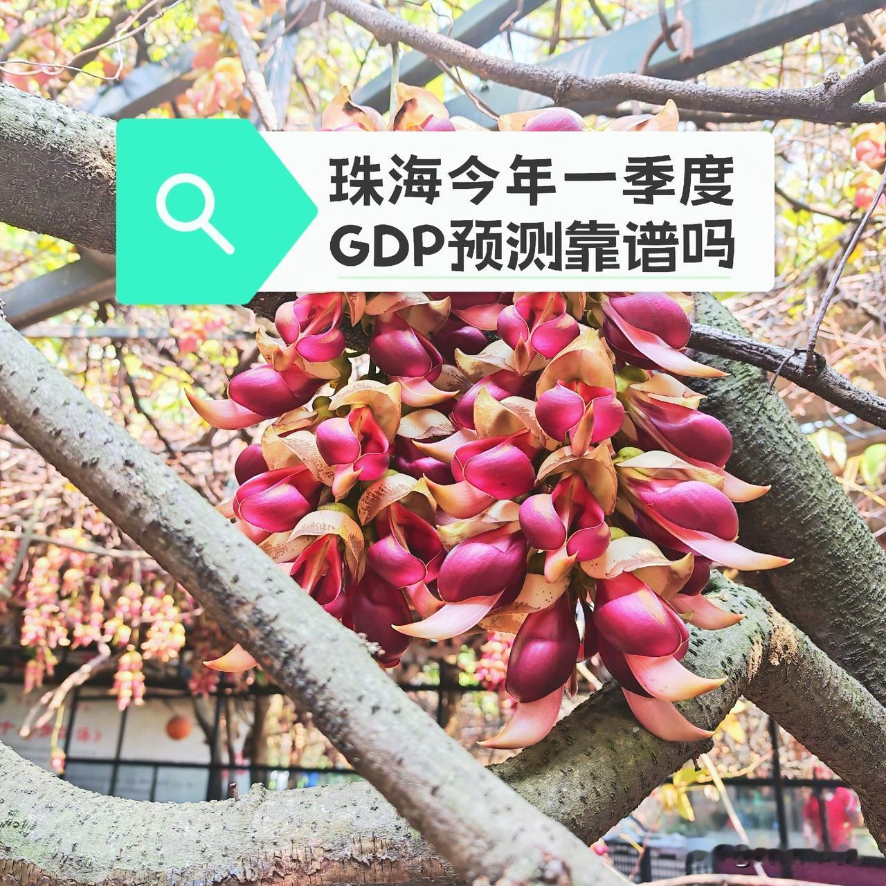 虎哥看到网上有一份2026年一季度广东各市的GDP预测，忍不住发问：这样的预测是