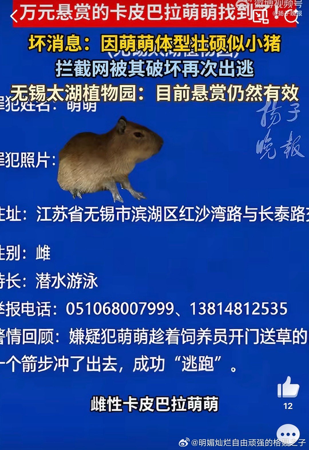 什么时候拍成迪斯尼电影啊，想看