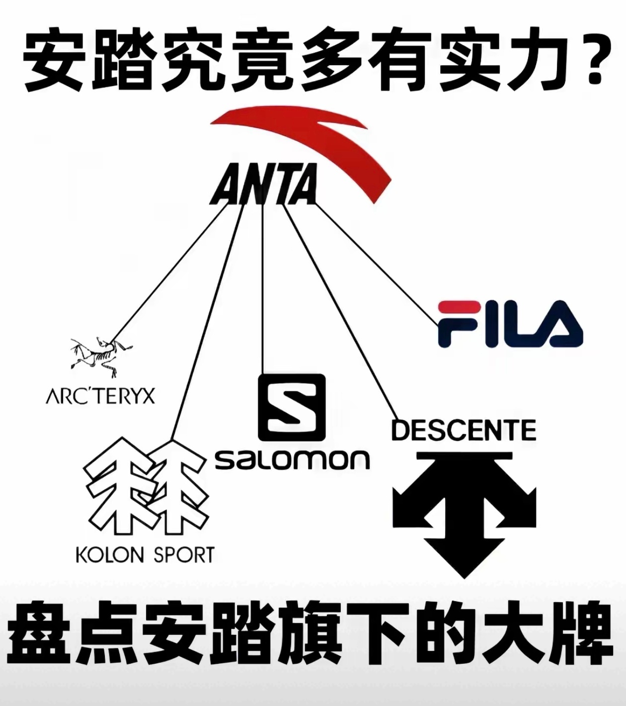 原来始祖鸟、萨洛蒙、迪桑特、斐乐这些高端的国际大牌子都是中国的安踏旗下的啊，厉害