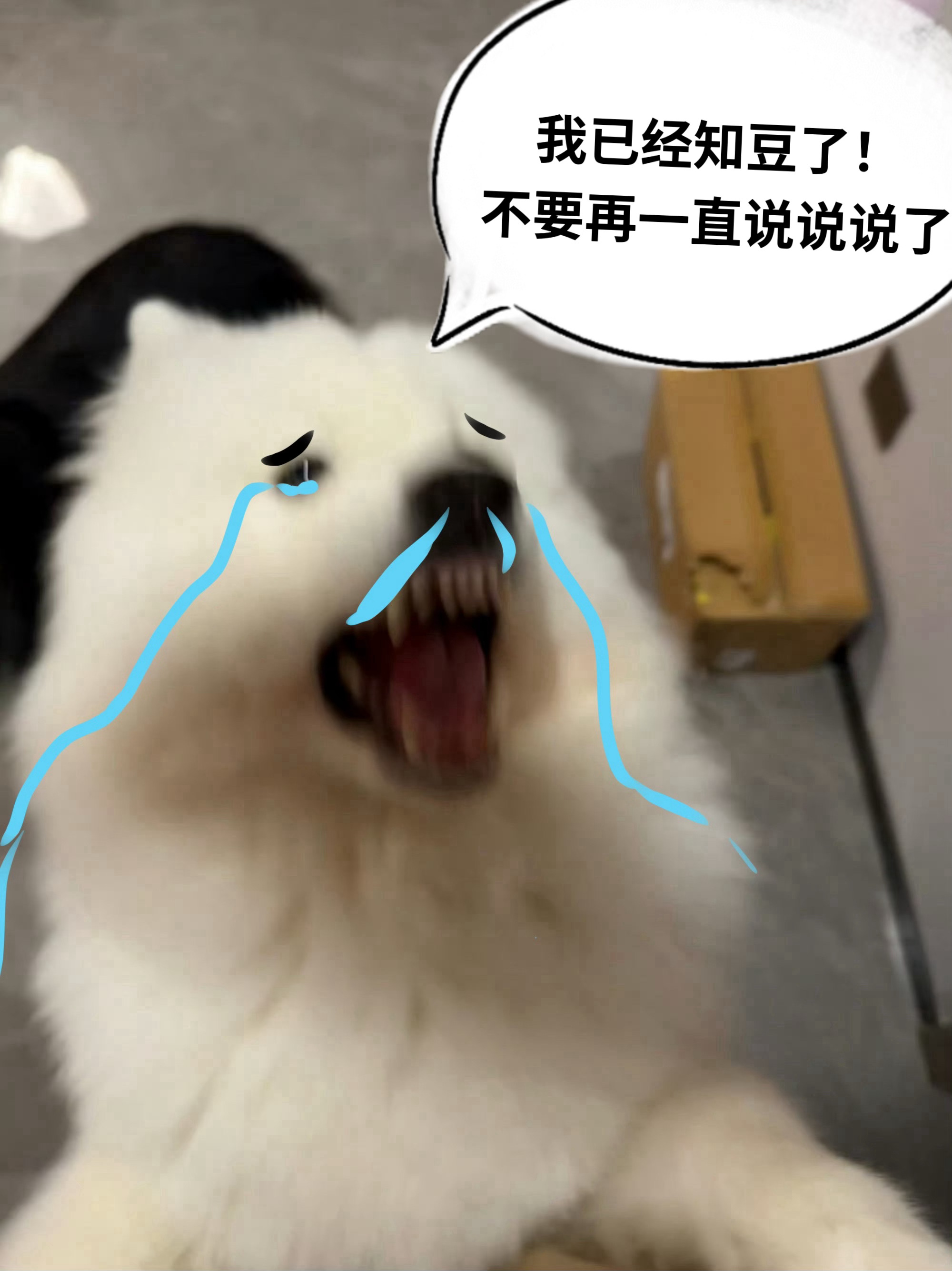哎娃儿到叛逆期了真的恼火！ ​​​