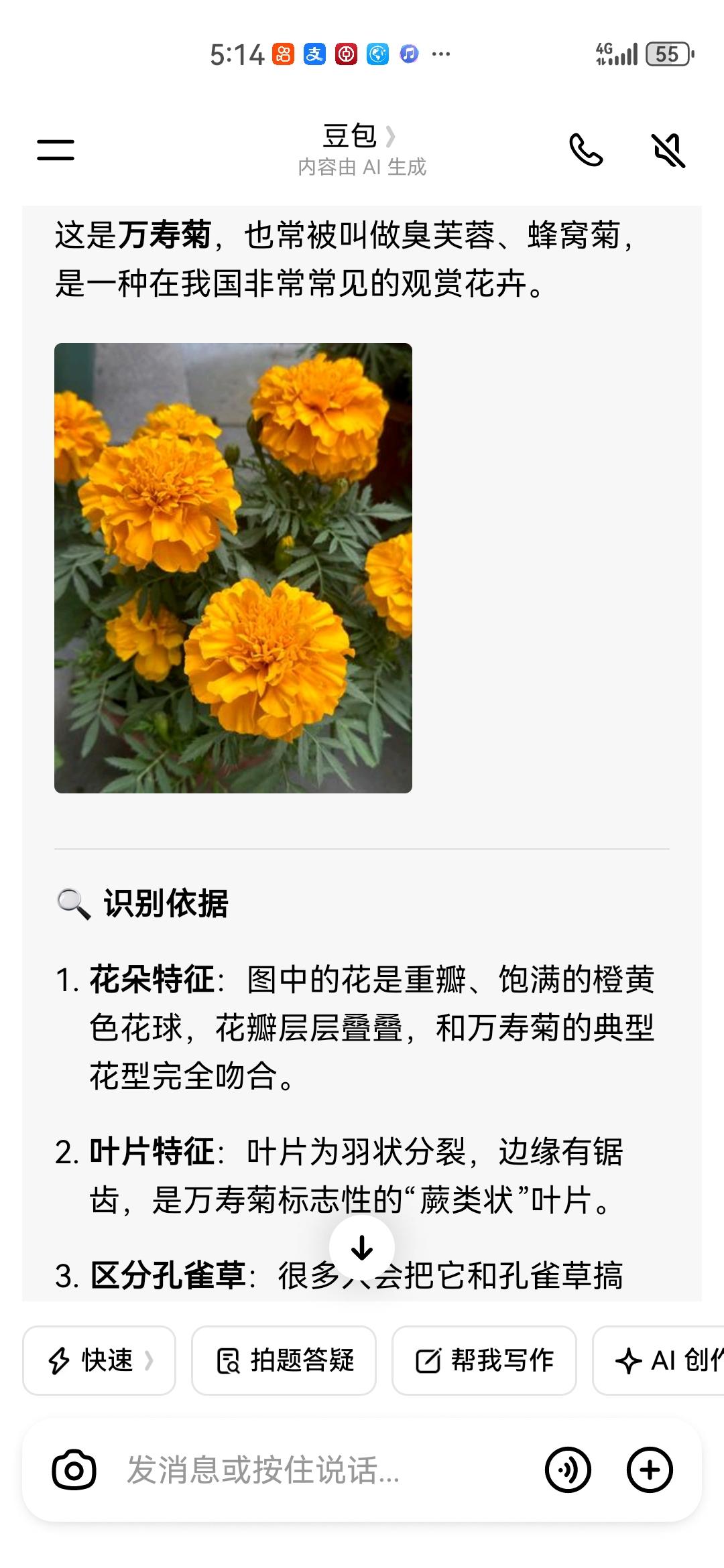 过年的时候下载了豆包，它早就成了我的朋友。

有事找豆包问一下，想知道花的名字，
