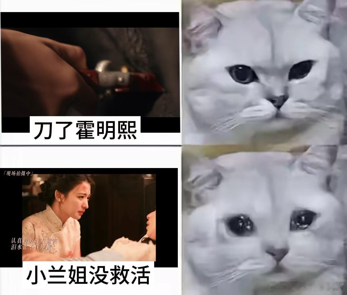 王楚然哭到失声王楚然好大一颗泪大沉浸式演技绝了！王楚然面对好友离世，强撑体面却止
