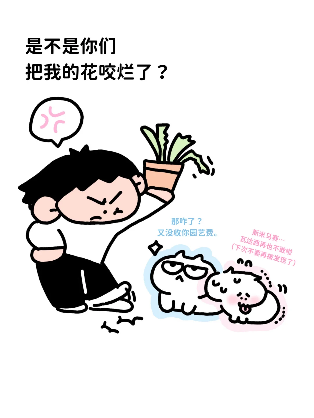 当小猫咪犯了错 …