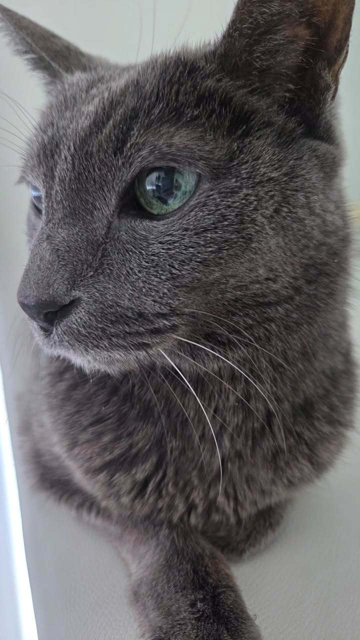 “CB百蓝_。260220金希澈 ins story更新： 