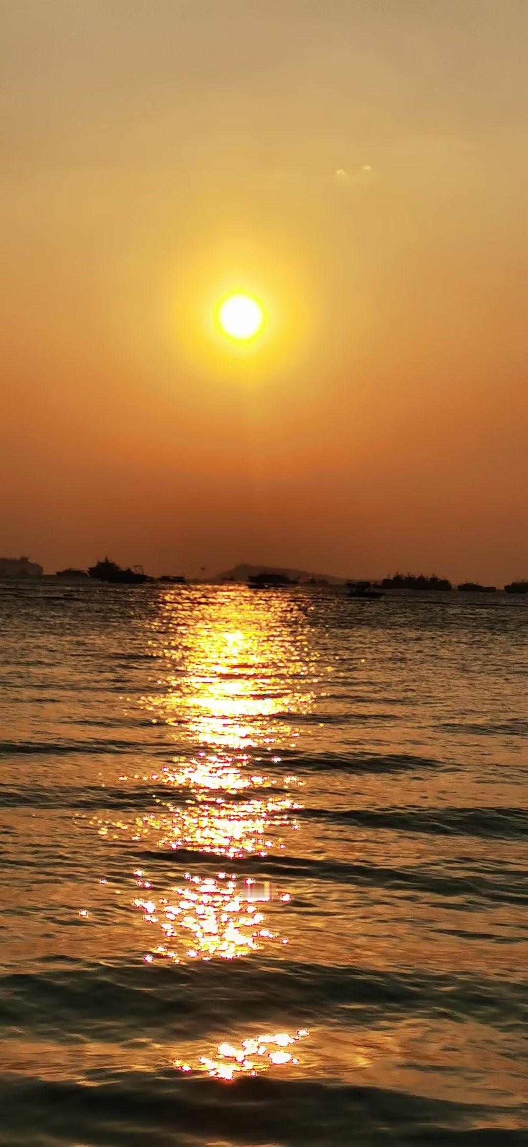 晒图笔记大赛夕阳把海面铺成一条金色的路，远处的船影在余晖里慢慢归航。风很轻，浪也
