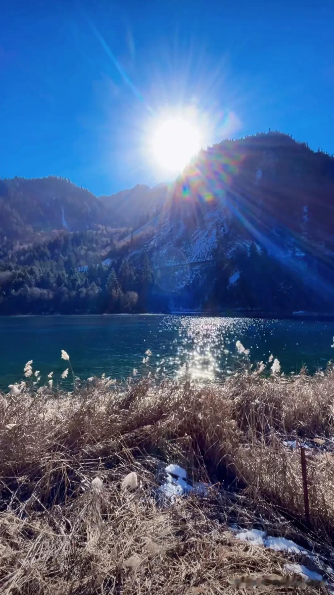 冬日暖阳下的静谧湖畔，阳光洒满整个世界。🌞🌲🌊晒出冬日美景 冬季晨光暖暖的