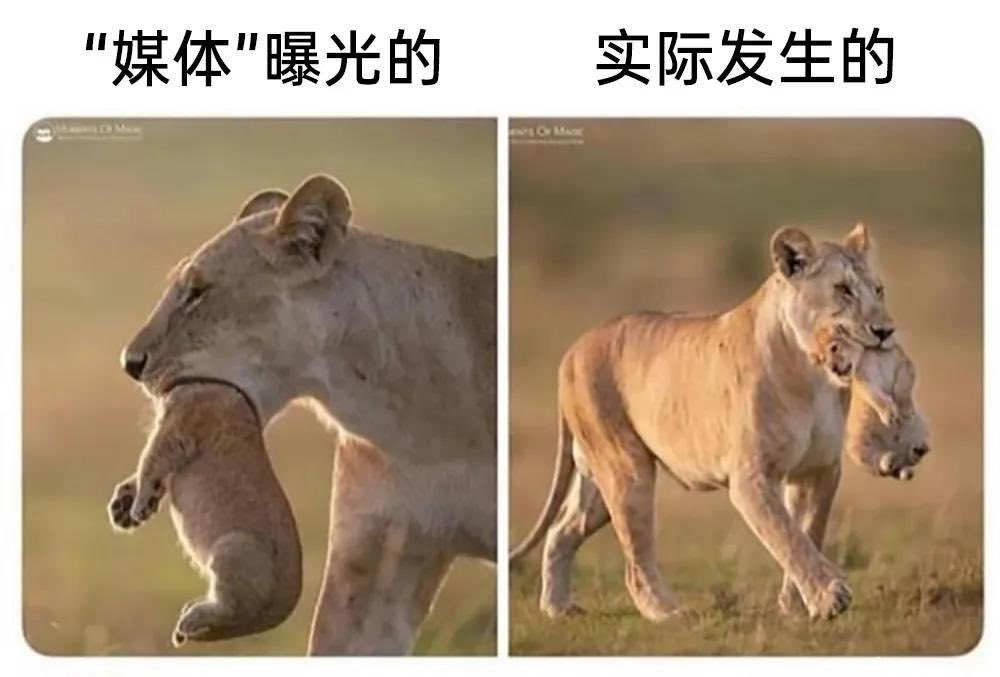 新年愿望：2024年把那群造谣的媒体全部抓起来枪毙就好了#meme# ​​​