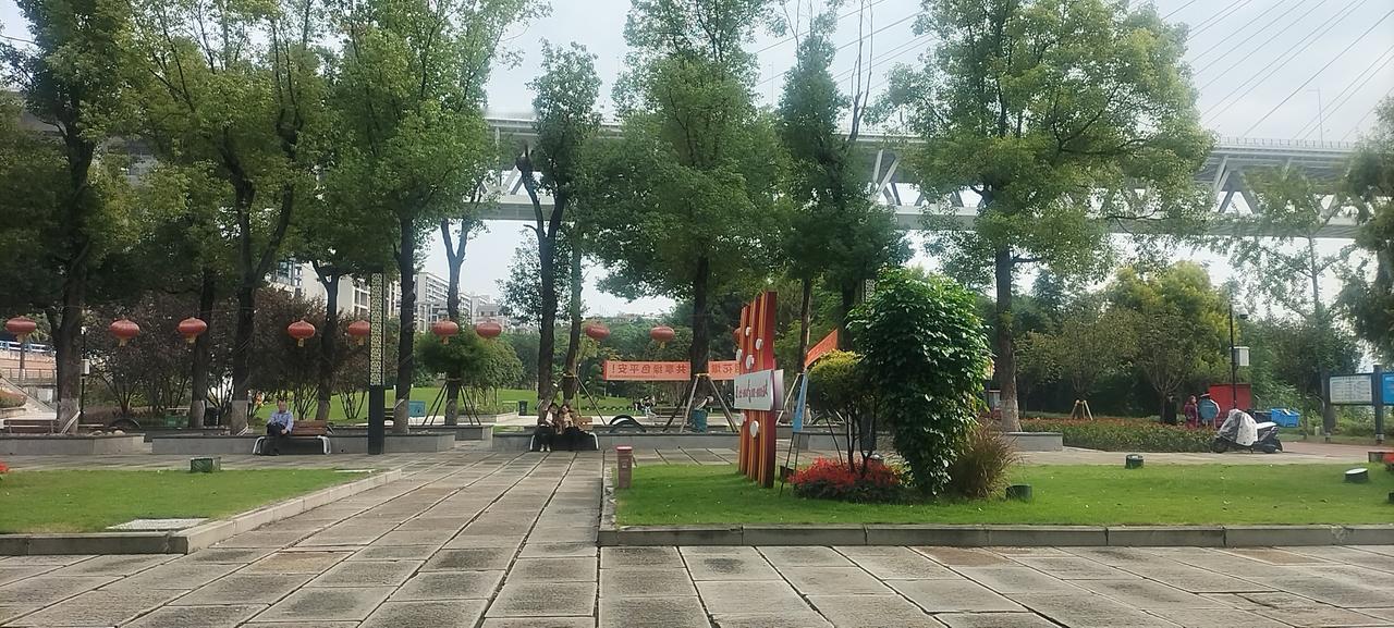 自动从养老金中扣除款项作为长护险保险金，这无疑是对法律的公然蔑视，实在令人费解！