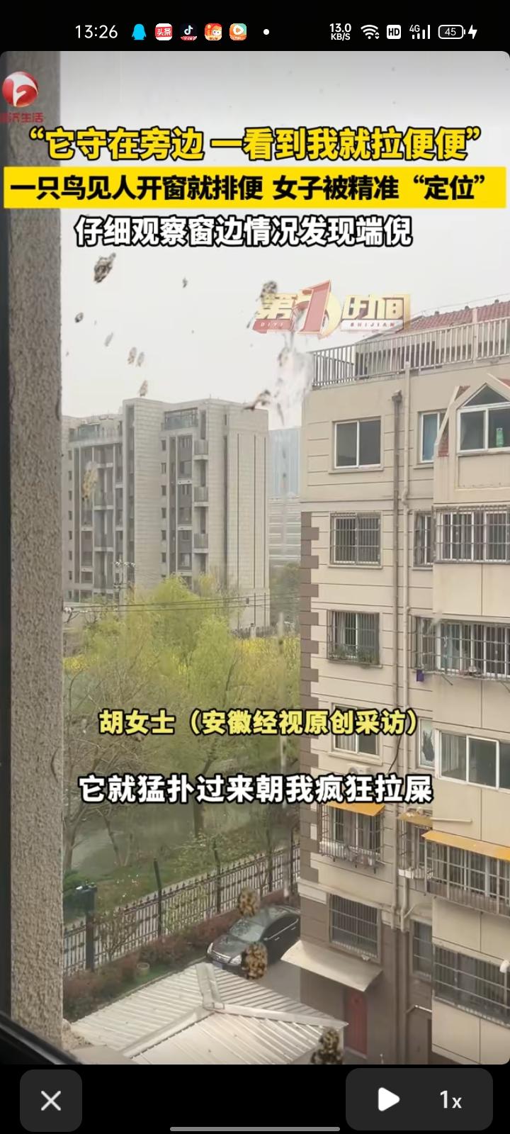 4月6日，江苏南通。女子发视频称，自己去关窗户莫名其妙被鸟攻击了，以为它是无意的