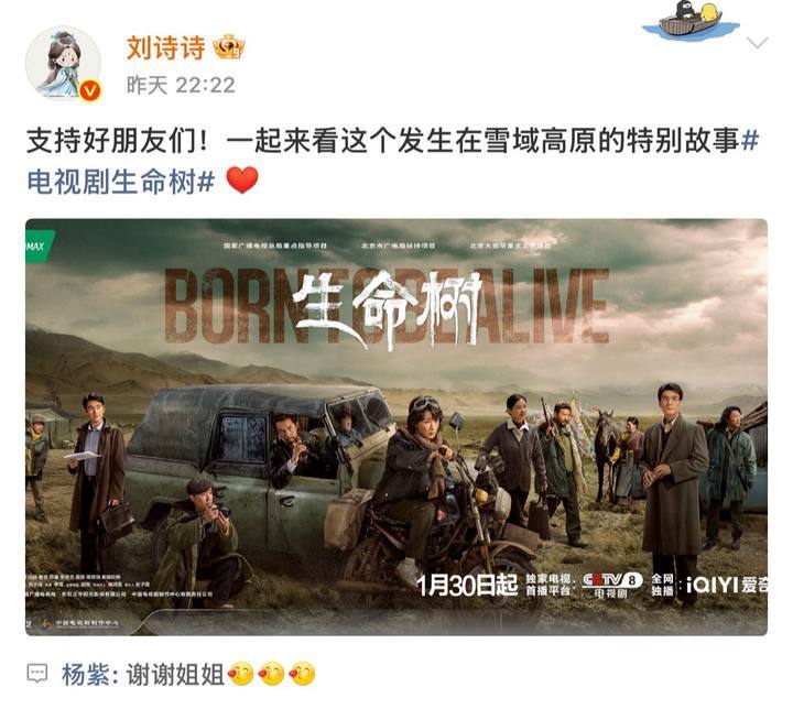 杨紫回复刘诗诗谢谢姐姐杨紫回应刘诗诗谢谢姐姐杨紫回复刘诗诗谢谢姐姐杨紫