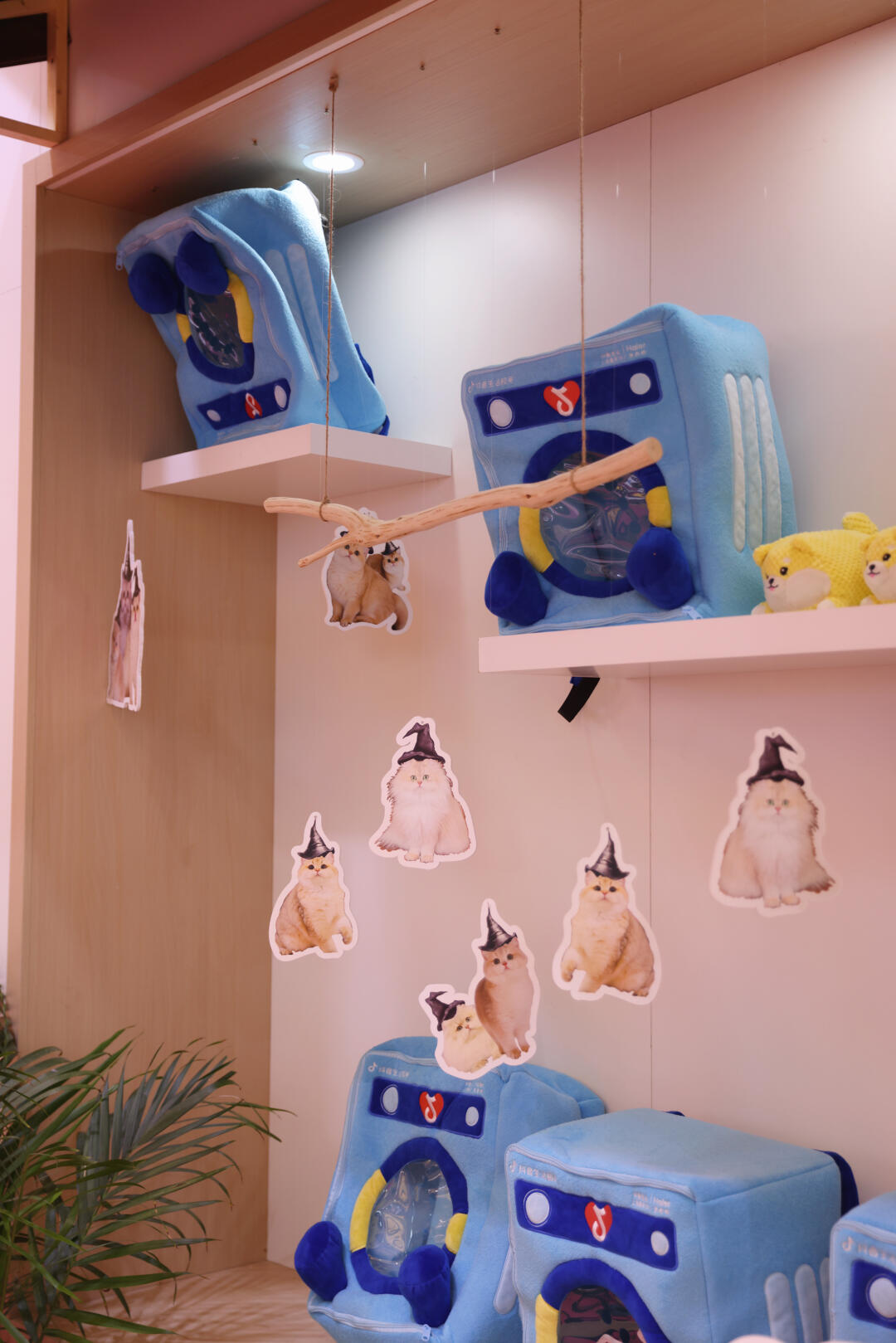 亚宠展｜海尔&拾七猫舍✨