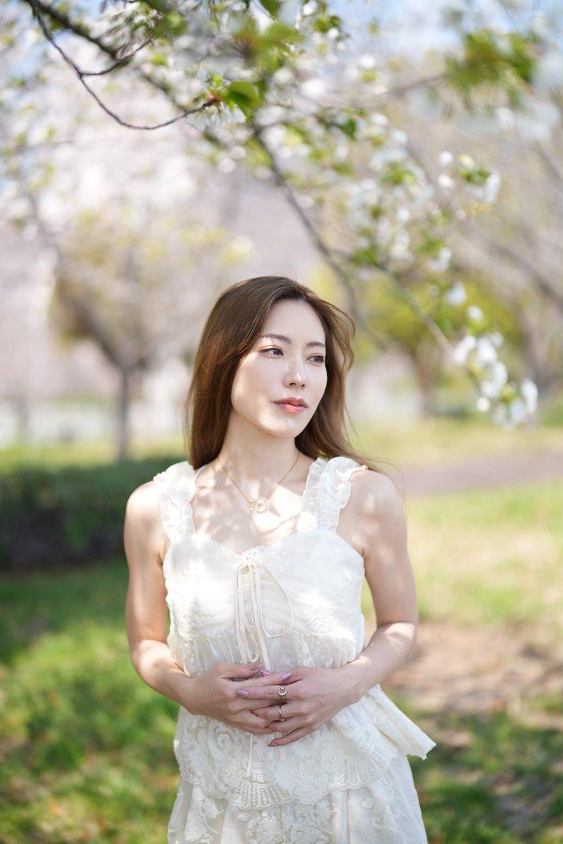 分享一张樱花的照片