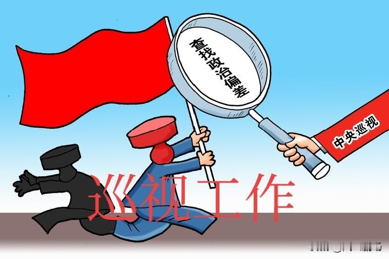 中央巡视工作的意义非常大，通过巡视，收集到各种各样的民生问题、冤假错案问题等等，