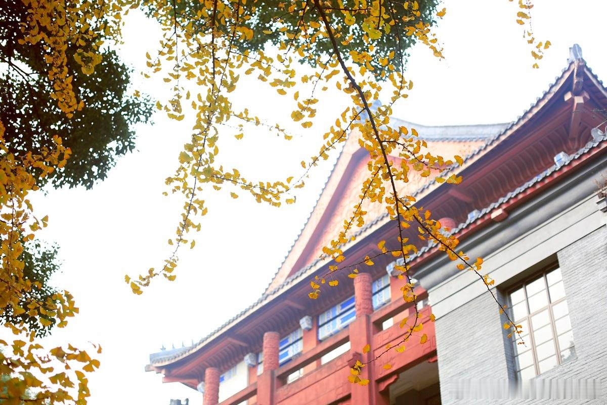 我去内地做评委或讲座时，很多实体企业家都有这样的观念我们公司也不缺钱，每年利润很