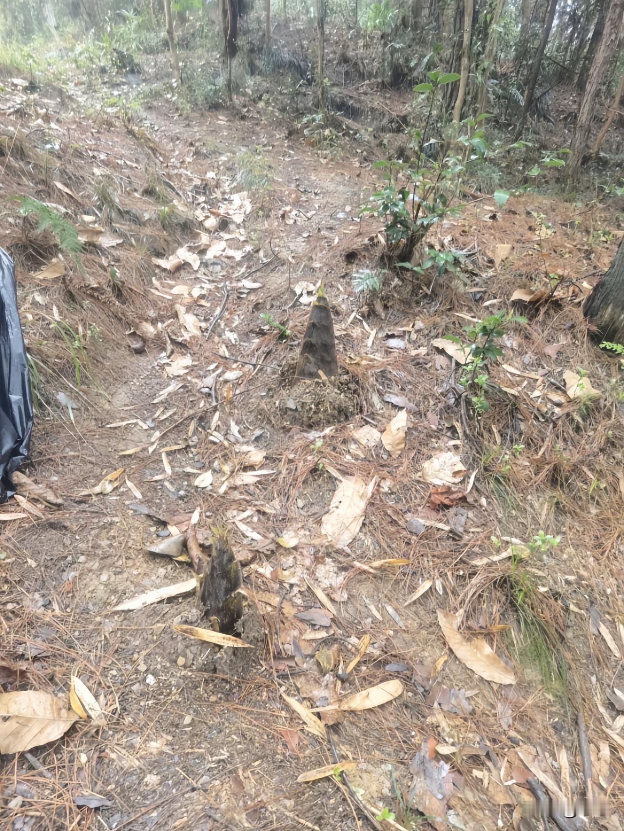 创业训练营又开营啦！
不少想搞钱、
想创业的小伙伴又聚到了一起，
氛围直接拉满。