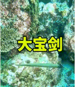 装成个大宝剑……这是专门吓唬人类？