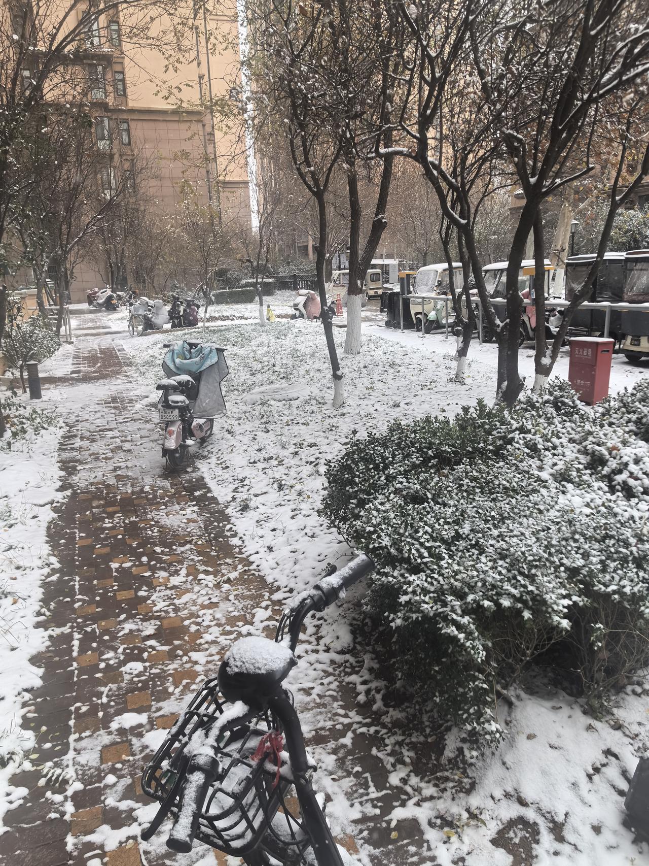 你们那里下雪了吗？