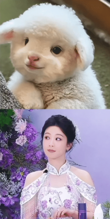 哈哈哈这个小可爱跟我家杨紫一样好萌啊！可爱爆啦！不能说一模一样，简直太可爱了！ 