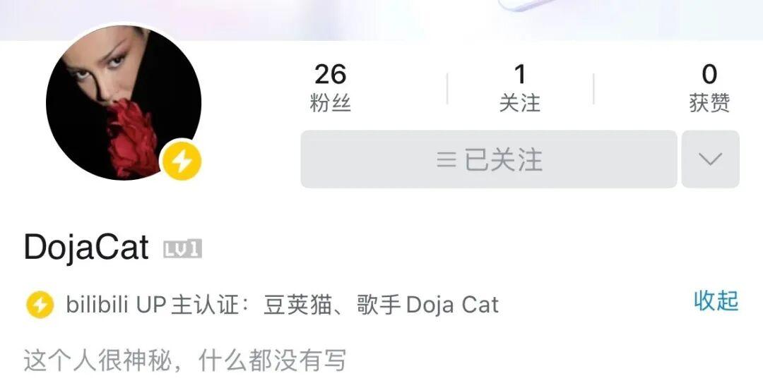 美国女歌手 Doja Cat 入驻中国短视频平台“B站”哔哩哔哩动画 bilib