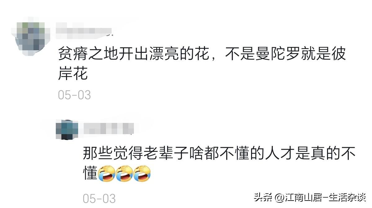 人在遇到婚姻大事的时候，还是需要保持清醒的。就像贫瘠之地，开出娇艳之花。同样来自